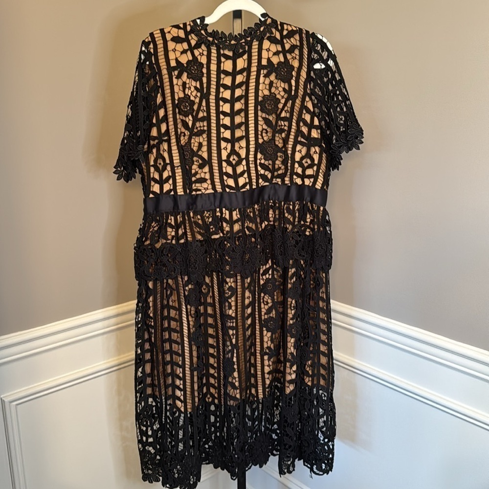 DALIA MACPHEE Black/Nude Short Sleeve Lace Dress With Floral Edging - Picture 3 of 11